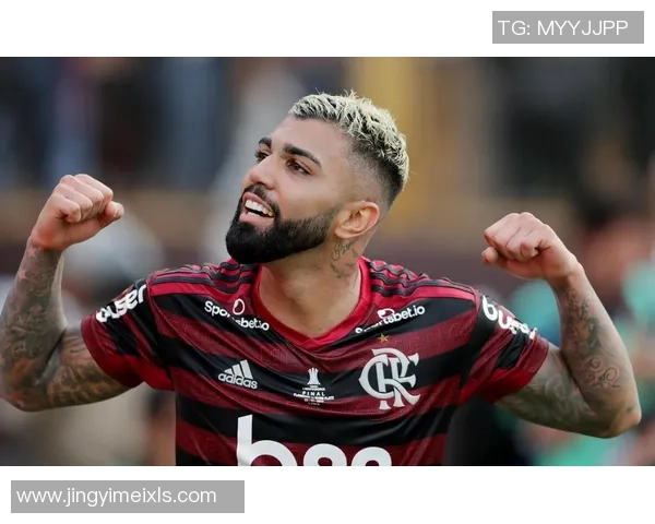 佛罗门戈足球队球星的辉煌历程与未来发展展望