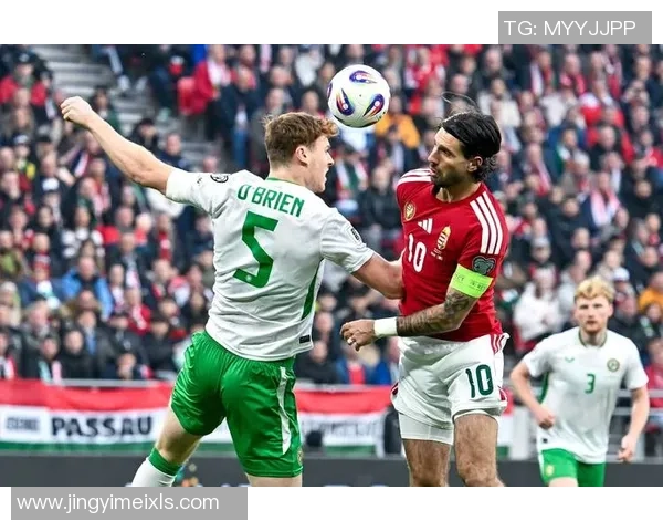 爱尔兰足球历史十大球星排名及其辉煌成就回顾